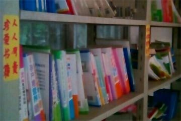 自由飞翔书的海洋