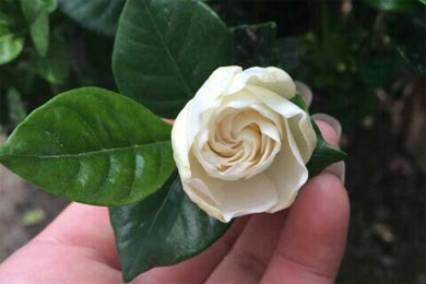 һ�ж�����ô��ǡ��