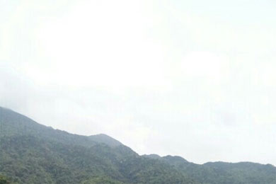 ����֮��