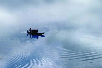 ʮ������