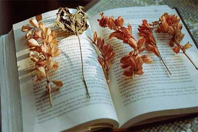 ���ҵİ���