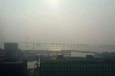 ��԰�� δ��