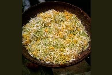 ���Ļ�ѩ ��¶����