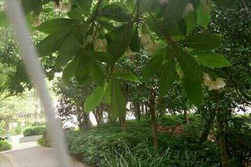 ���Ǿ������మ��