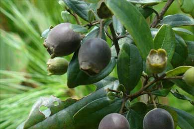 ɽ�����˽�����