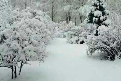 �����̵�