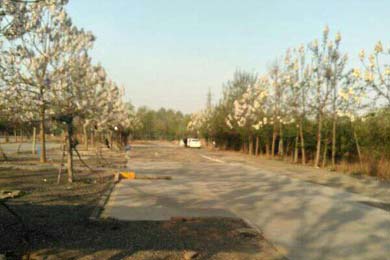 白鹿原上的悲歌(现代散文诗)