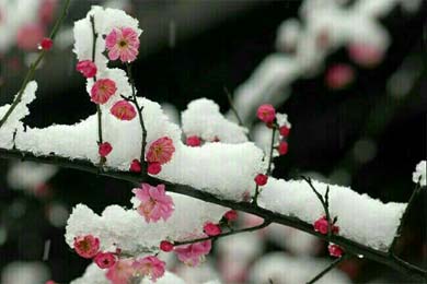 �й��ŵ��ѧ�ĵ߷�