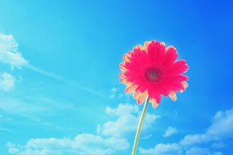 ����ң��