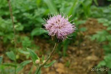 �뽫�Һú�����
