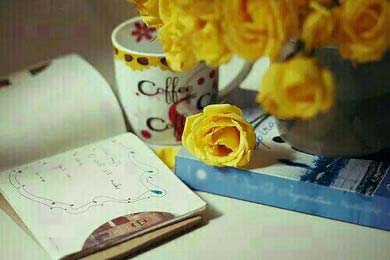��ȫ�����Ρ�����������������������