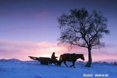 �Ȱ�����