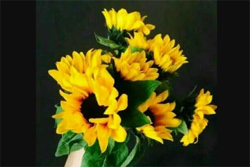 ��Թ���ഺ