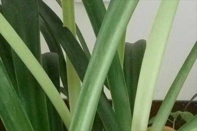 ������-�������