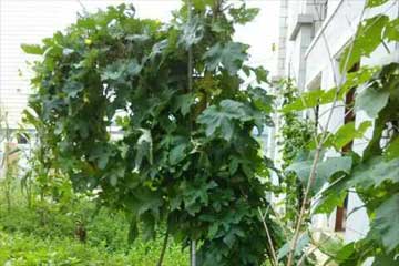 ˿������