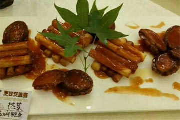 ����������֮Ѭ�����