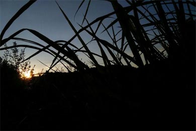 ���޵�Ů��