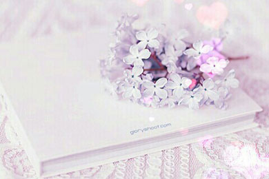 ů���ĵİڶ���