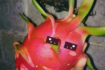 ��ҹ��