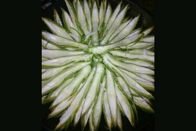 ��������Զ��ǧɽ��ˮ��׷Ѱ�������һ��Ҳ�������