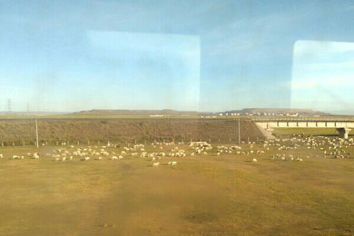 ��ԭ����