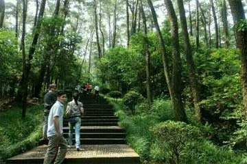 �ŷ硤����