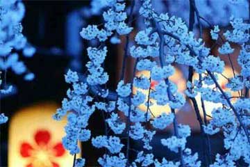 ��ʫ �ž� ����