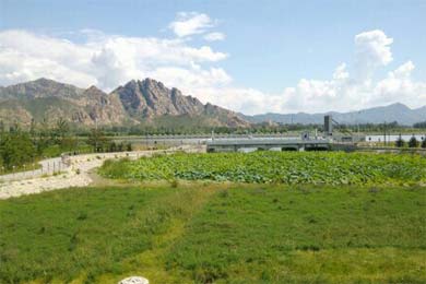 ����/������Ũ