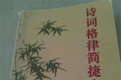 һ��÷��������Ư