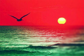 �꼰����(ɢ��ʫ��ƪ)