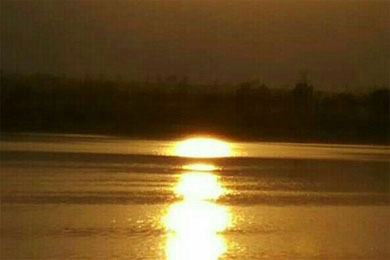 ����ɳ.��������ϣ�