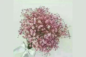 ��紵