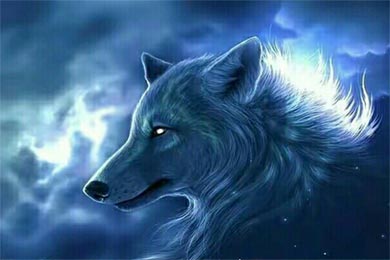 �޷�ֹͣ�Ŀ���