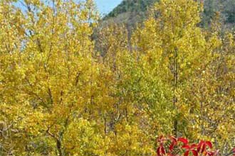 ����ɳ.����鲻ͬ�����ϣ�