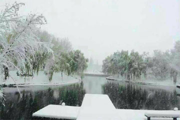 ����ɳ.��˪