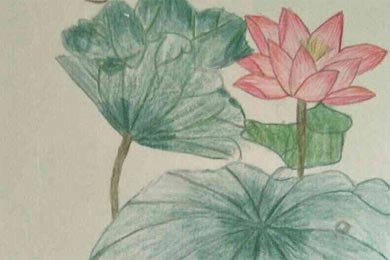 �������