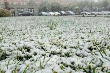 ����ɳ.�ﺮ