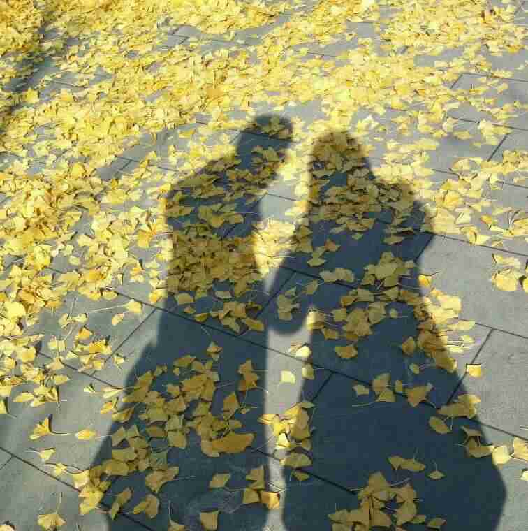 �����氮��