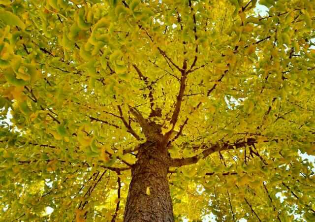 �����߽��������