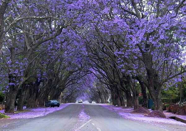 һ�ػ��꣬һ����