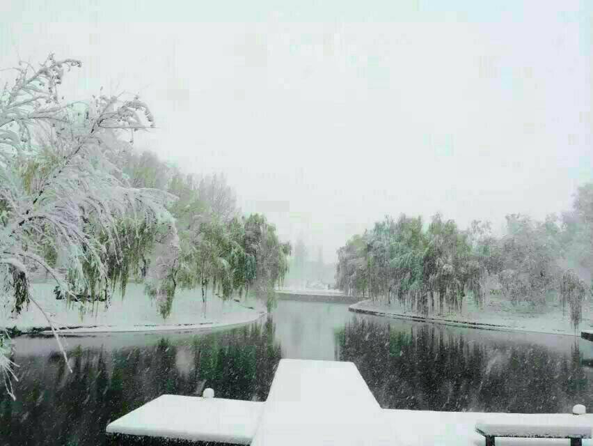 ѩ������