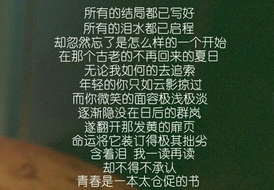 我只不过说了我所想的