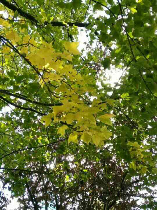 ˼������