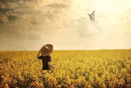 İ������