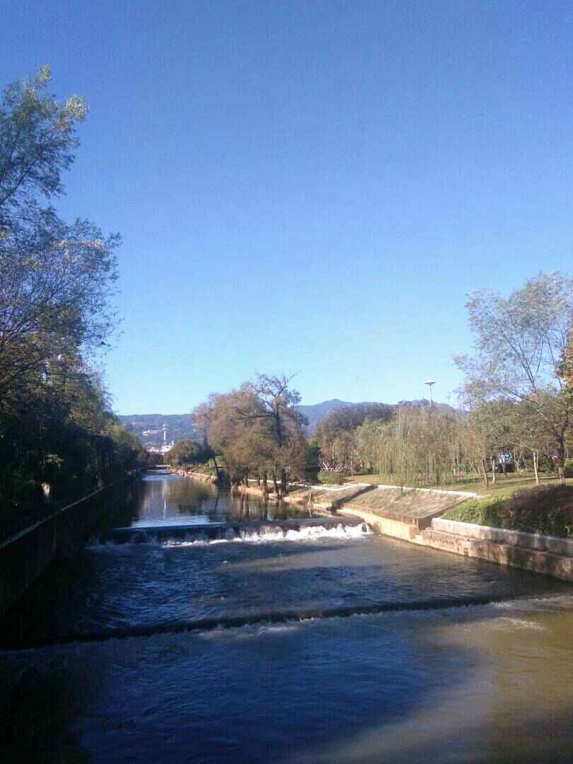 ̾