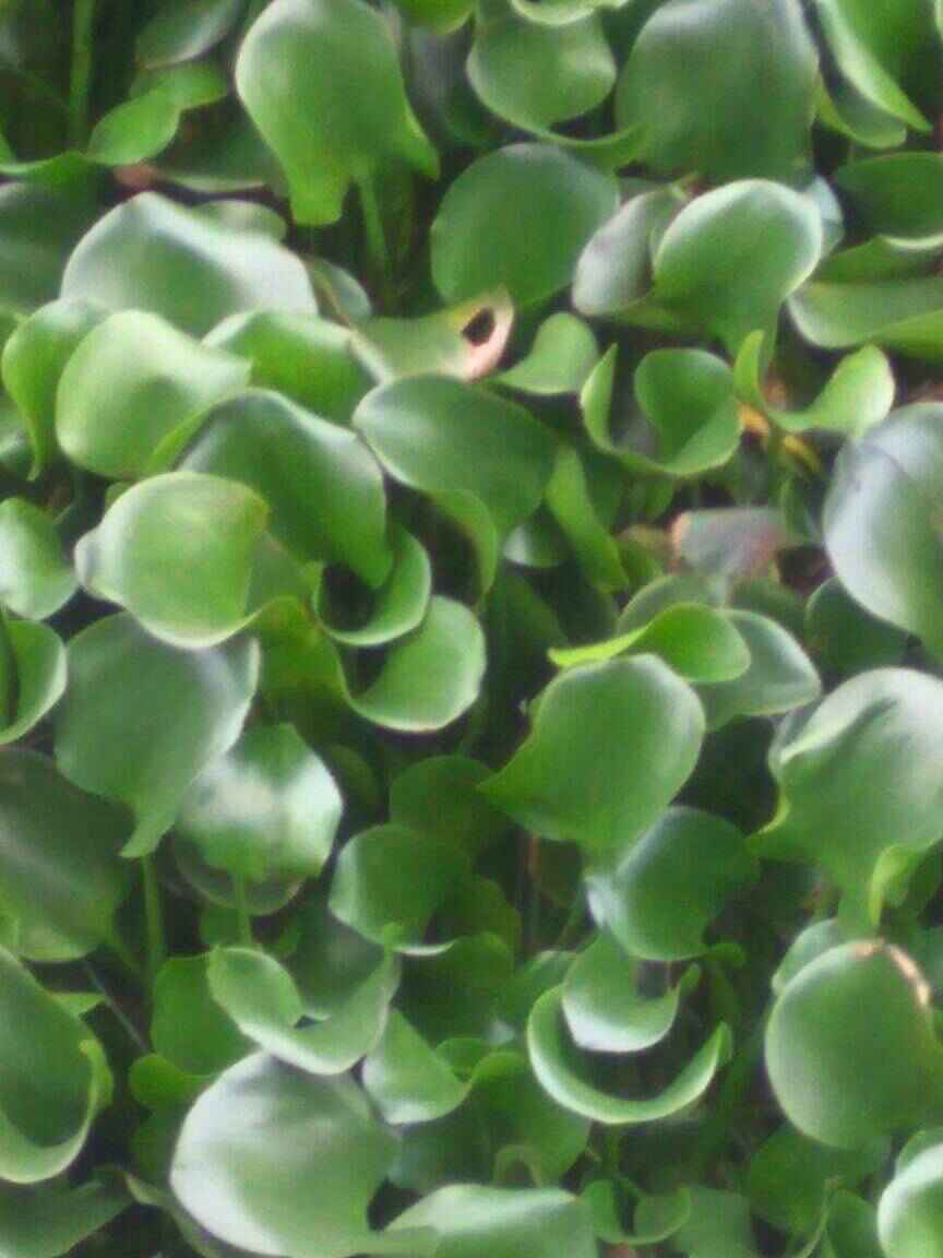 �ഺ��ǳ��Զ��