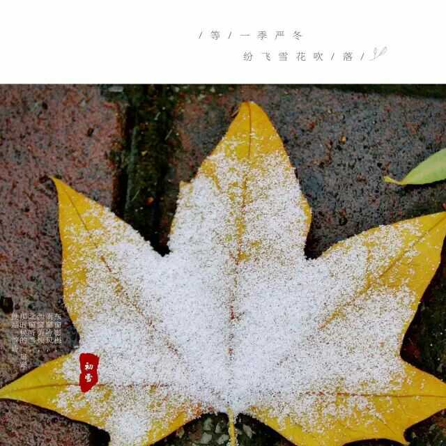 ѩ������