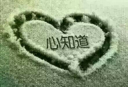 蝶恋花.借暖还寒