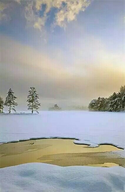 Զ�������Ƿ�Ҳ�µ�