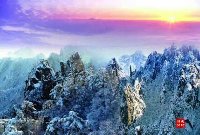 �γ��񳤳������